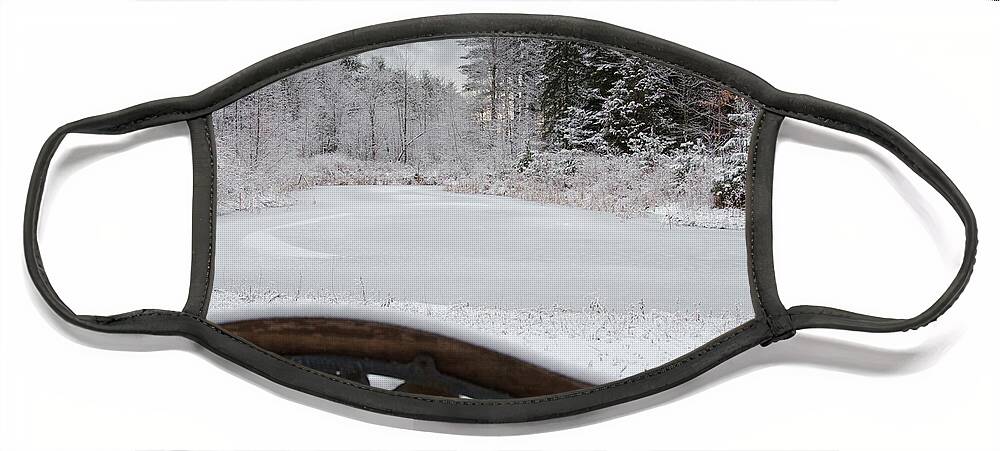 Winter Face Mask featuring the photograph Winter at the Pond by Moira Law