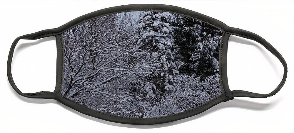 Landscape Photography Face Mask featuring the photograph Winter Clothesline by Frank J Casella