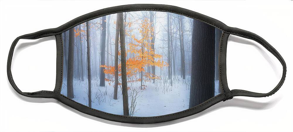 Forest Face Mask featuring the photograph Winter Forest by Henry w Liu