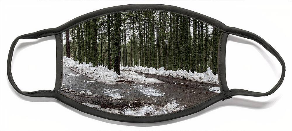 Wintertime Face Mask featuring the photograph Winter forest landscape with snow on the ground by Michalakis Ppalis