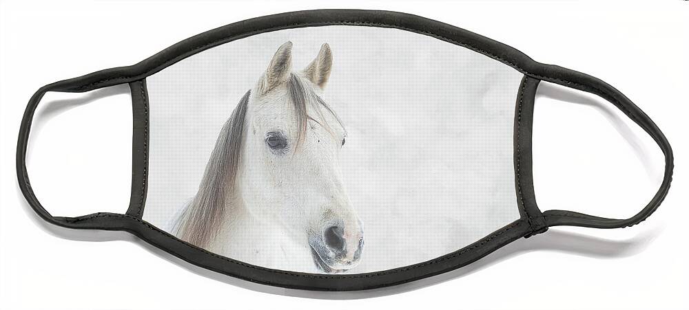 Horse Face Mask featuring the photograph Winter Horse by JBK Photo Art