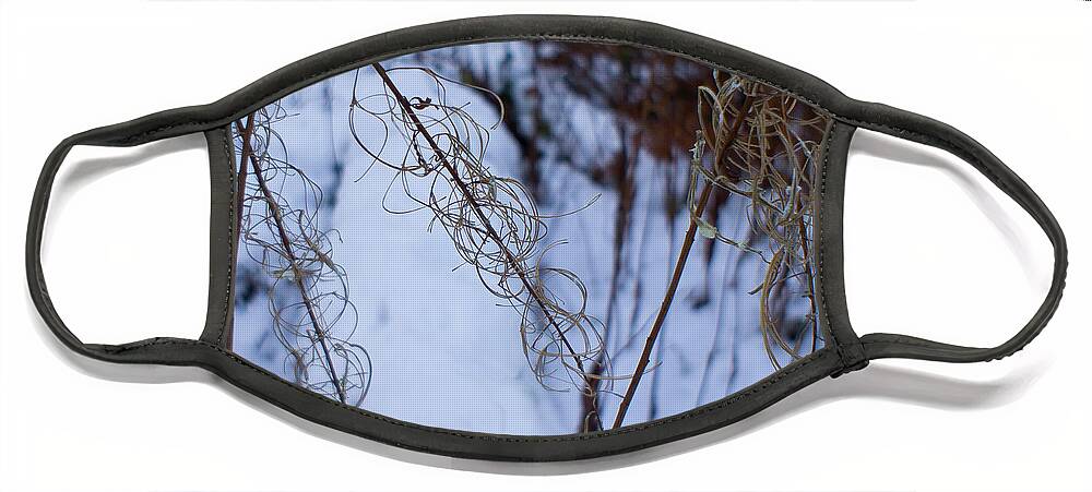Rosebay Willowherb Face Mask featuring the photograph Winter of Fireweed by Elena Perelman