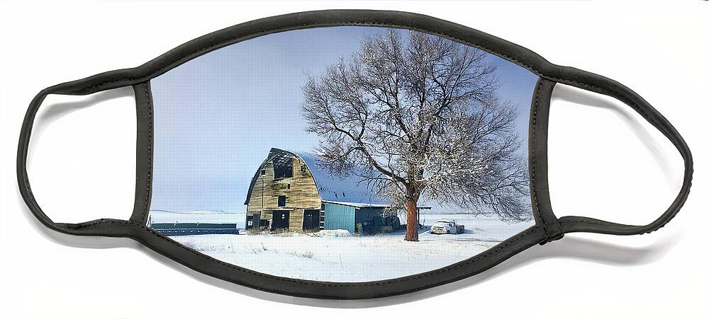 Winter Face Mask featuring the photograph Winter on the Farm by Jerry Abbott