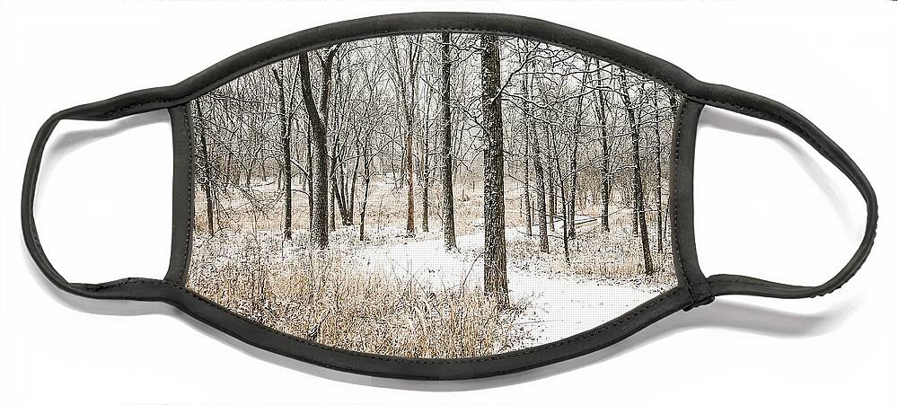 Illinois Face Mask featuring the photograph Winter Path in the Marsh by Joni Eskridge