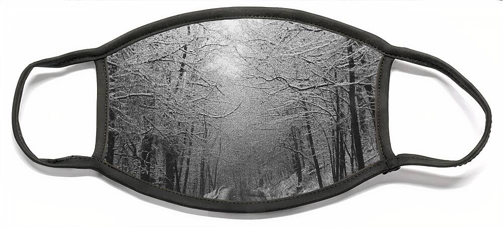 Winter Face Mask featuring the photograph Winter Rt 528 by Mary Kobet