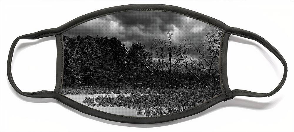 Winter Face Mask featuring the photograph Winter Scenes III BW by Scott Olsen