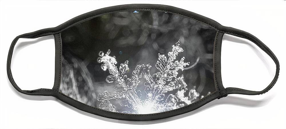 Snowflake; Ice; Winter; Solstice; Face Mask featuring the photograph Winter Solstice Blessing by Tina Uihlein