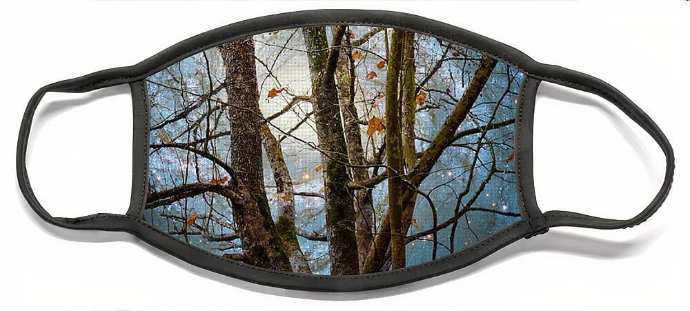 Carolina Face Mask featuring the photograph Winter Starry Night by Debra and Dave Vanderlaan