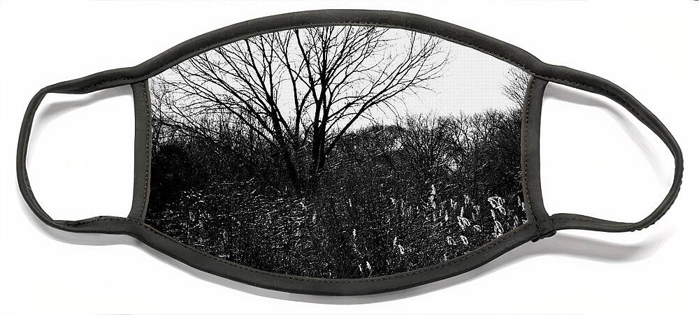 Tree Face Mask featuring the photograph Winter Tree And Bridge At Homewood Izaak Walton Preserve - Holga by Frank J Casella