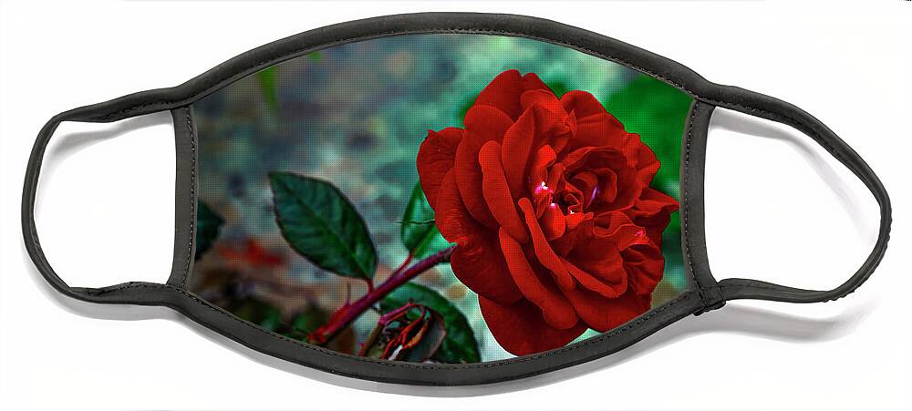 Witches Rose Face Mask featuring the photograph Witches rose #j9 by Leif Sohlman
