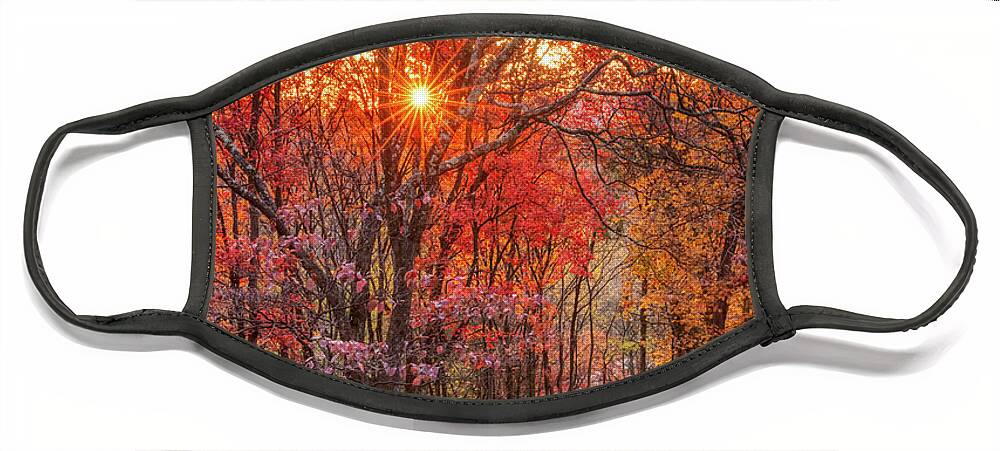 Canon Face Mask featuring the photograph Witts Peak Sunrise by Donna Twiford