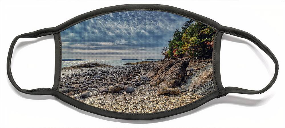 Freeport Maine Face Mask featuring the photograph Wolfe Neck Woods by Penny Polakoff