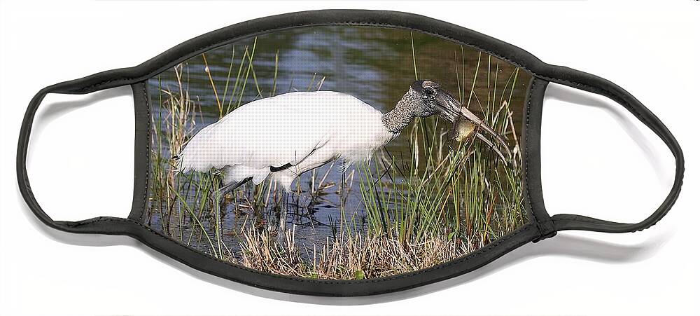 Wood Storks Face Mask featuring the photograph Wood stork 2 by Mingming Jiang