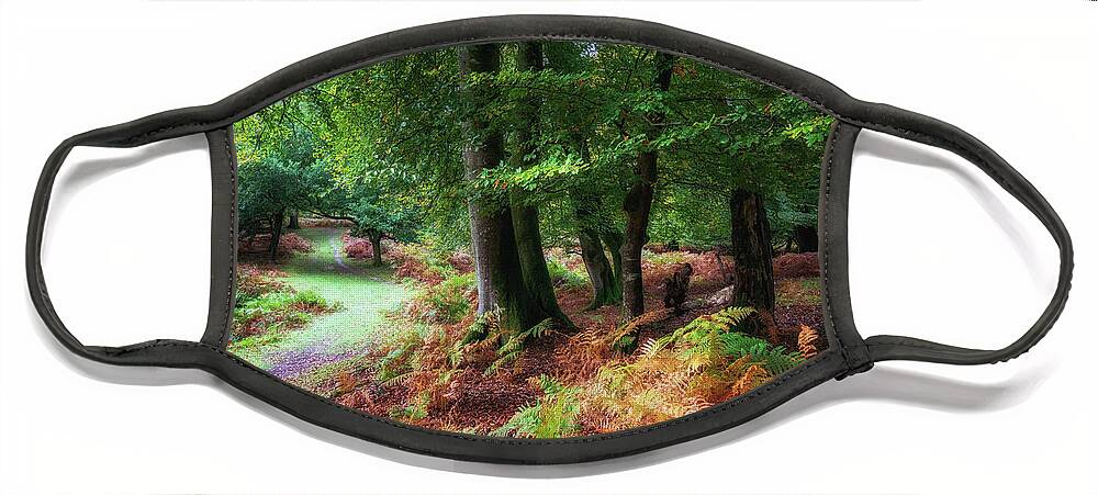 Framing Places Photography Face Mask featuring the photograph Woodland by Framing Places