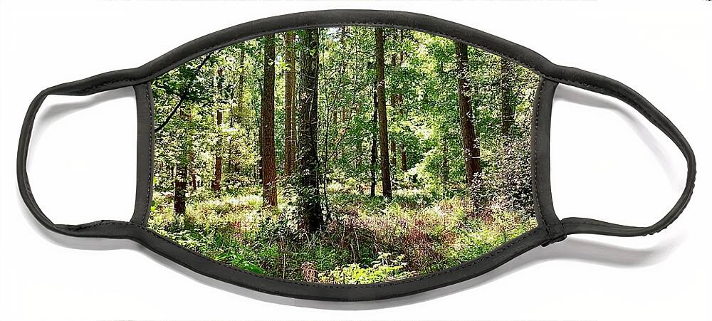 Woodland Face Mask featuring the photograph Woodland Glade by Gordon James