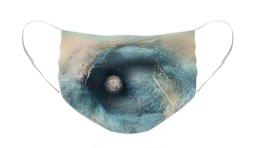 Nest Face Mask featuring the photograph Wren Nest in Blue by Angela Davies