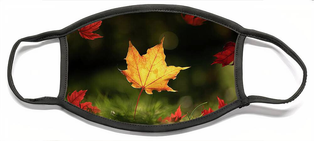 Fall Leaves Face Mask featuring the photograph Yellow Maple Leaf by Naomi Maya