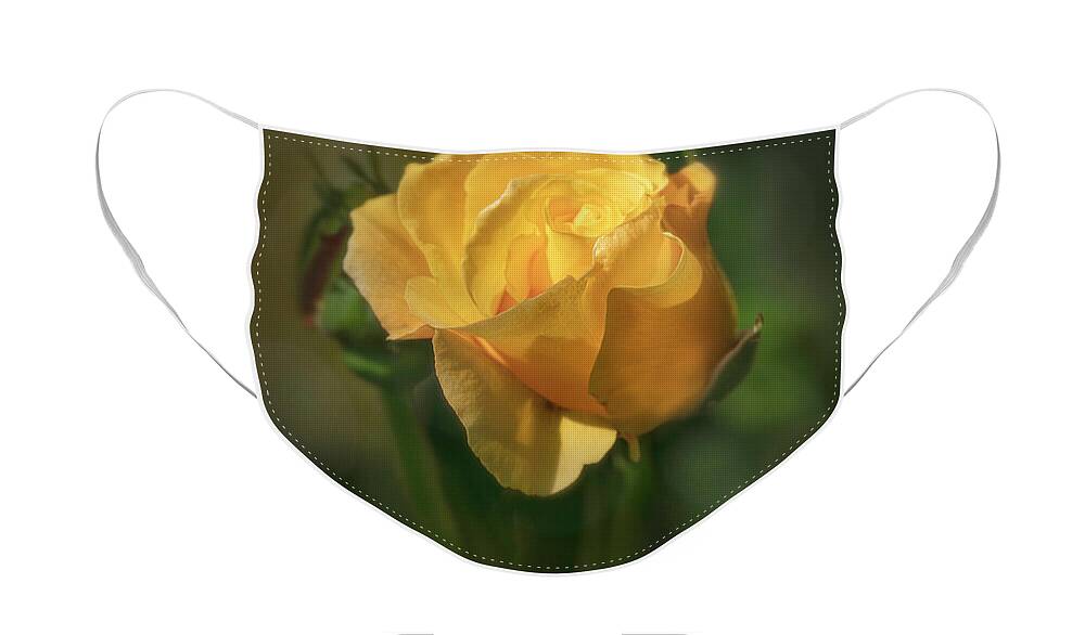 Rose Face Mask featuring the photograph Yellow Rose For Peace by Teresa Wilson