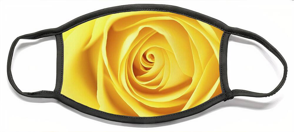 Beauty Face Mask featuring the photograph Yellow rose by Jane Rix