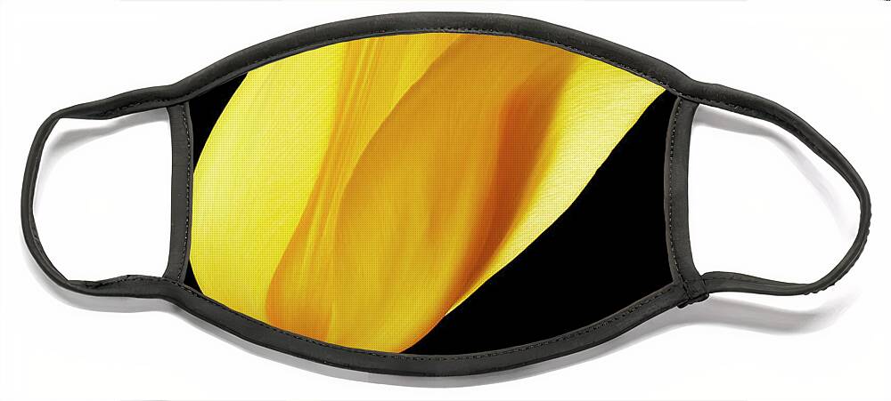 Tulips Face Mask featuring the photograph Yellow tulip by Tony Cordoza