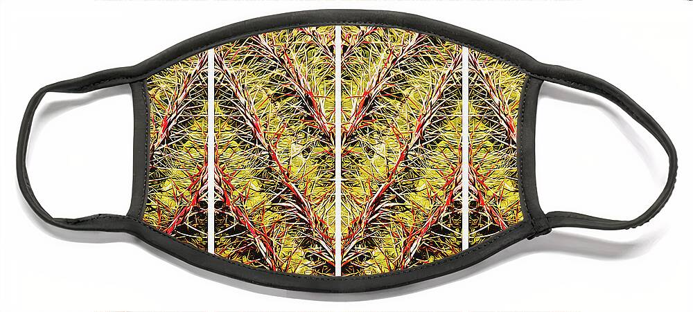 Barrel Cactus Face Mask featuring the photograph Zig Zag Abstract by Tatiana Travelways