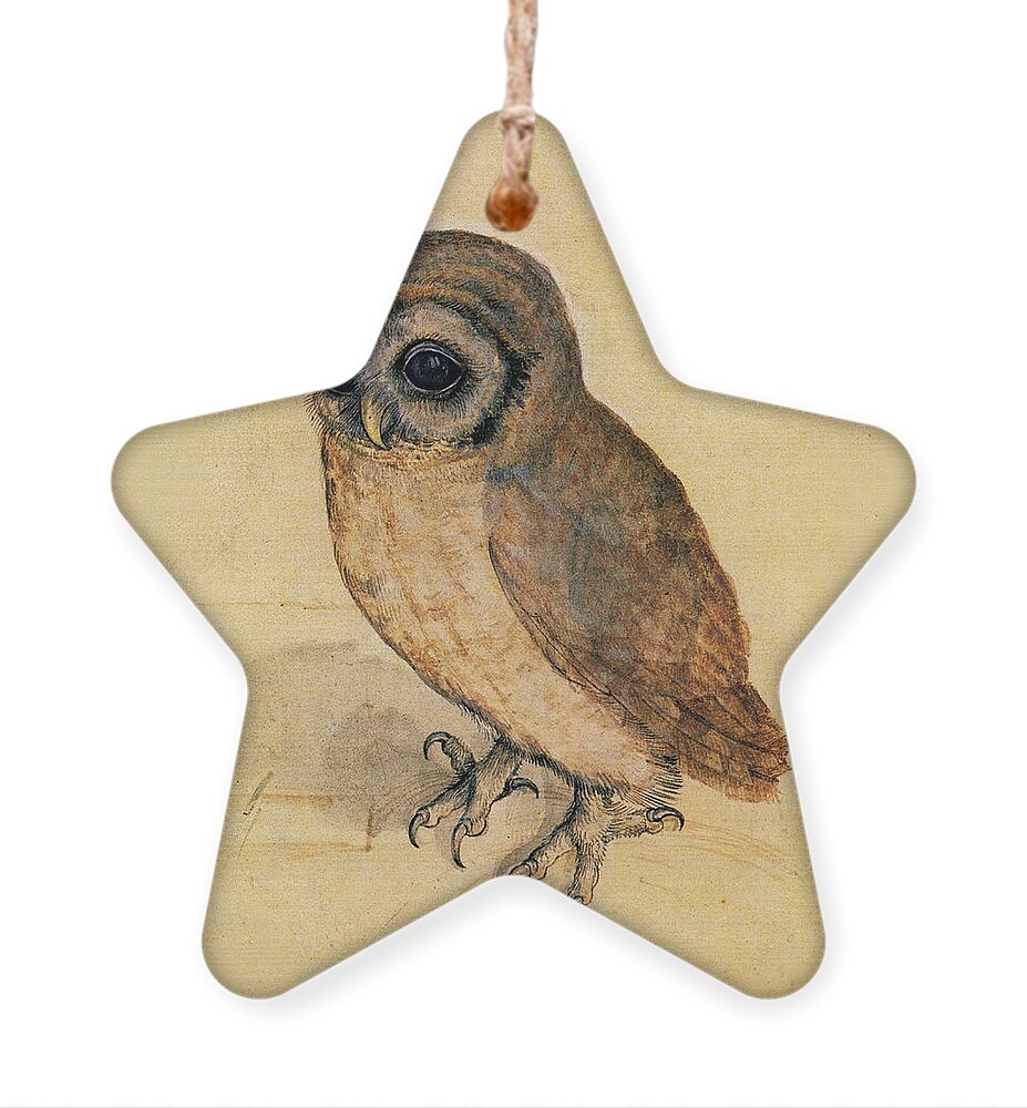 Owl Ornament featuring the painting Little Owl by Albrecht Durer