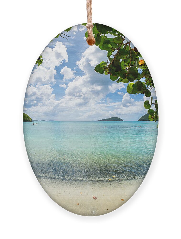 Caribbean Ornament featuring the photograph Beautiful Caribbean beach by Raul Rodriguez