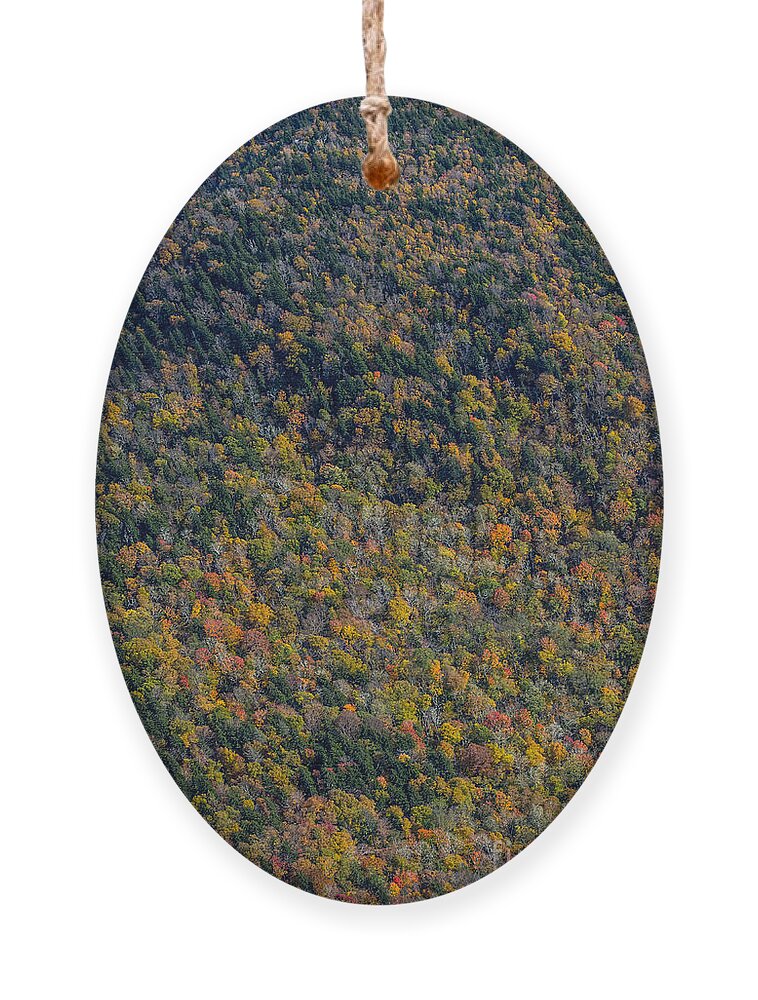 Banardsville Ornament featuring the photograph Blue Ridge Parkway with Autumn Colors #2 by David Oppenheimer