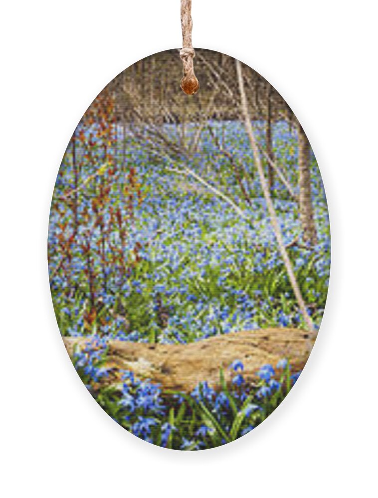 Flowers Ornament featuring the photograph Carpet of blue flowers in spring forest 2 by Elena Elisseeva