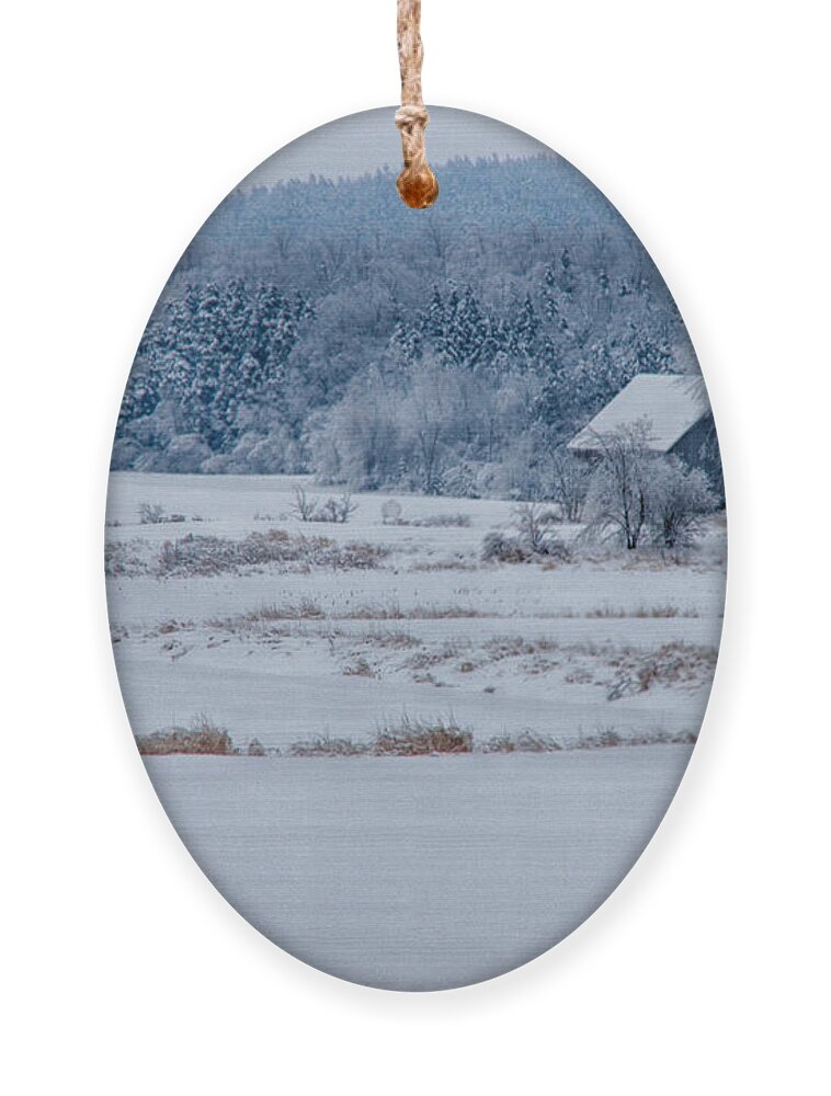 Scenic Vermont Photographs Ornament featuring the photograph Cold blue snow by Jeff Folger