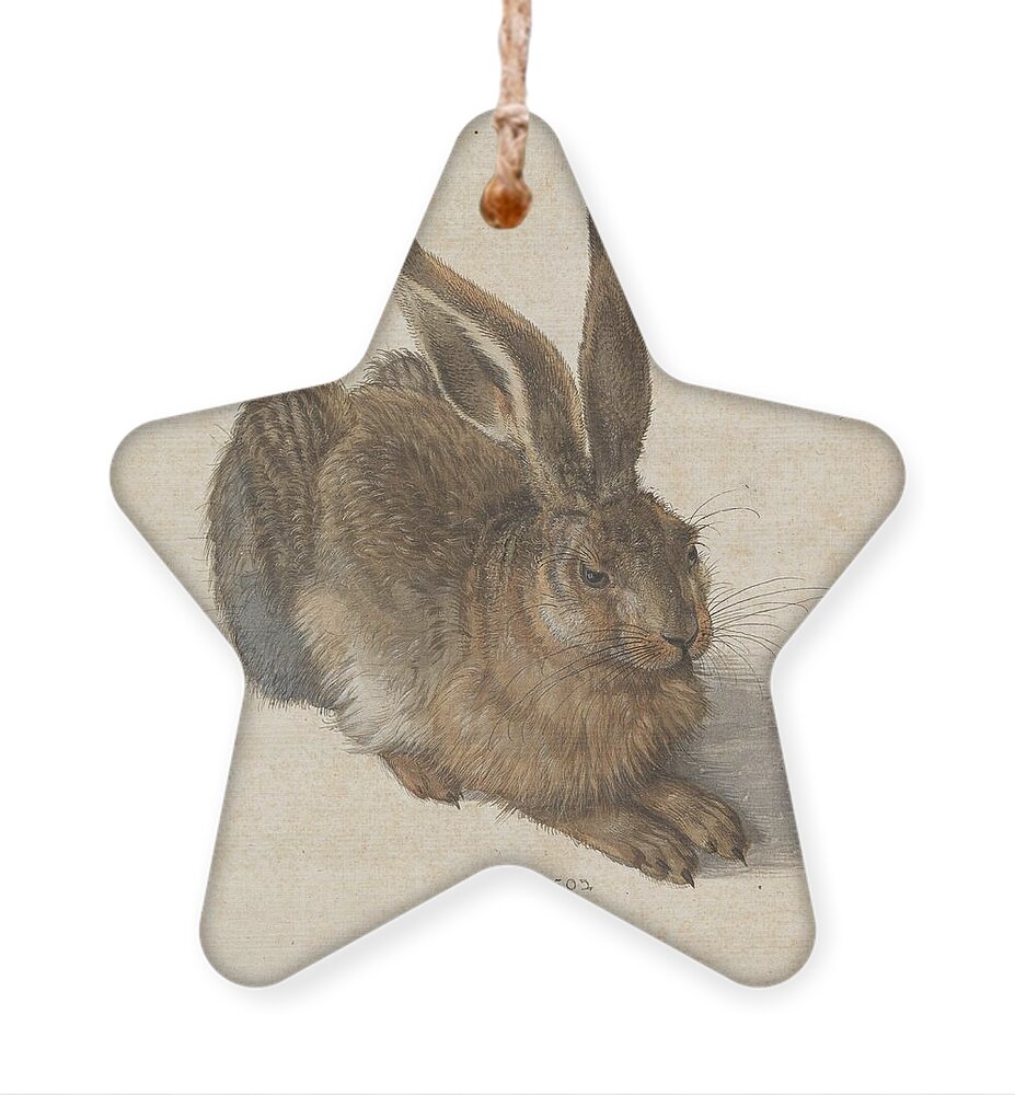 Durer Hare Ornament featuring the painting Young Hare by Albrecht Durer