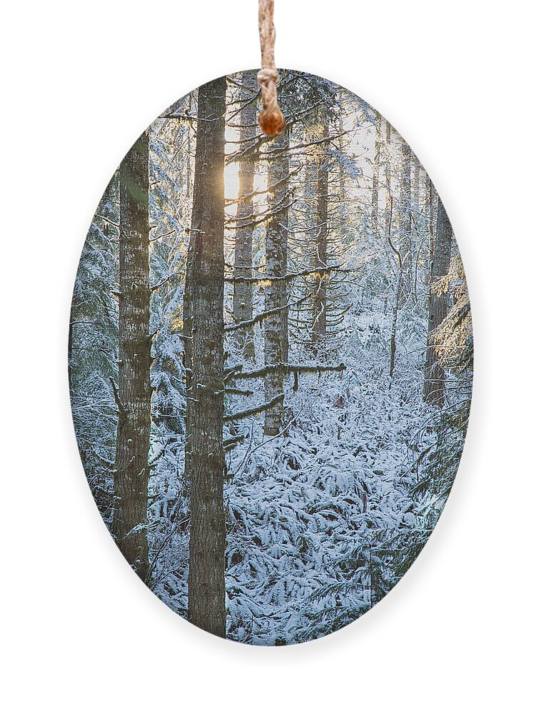 Oregon Snow Ornament featuring the photograph May the long time sun shine upon you #1 by Kunal Mehra