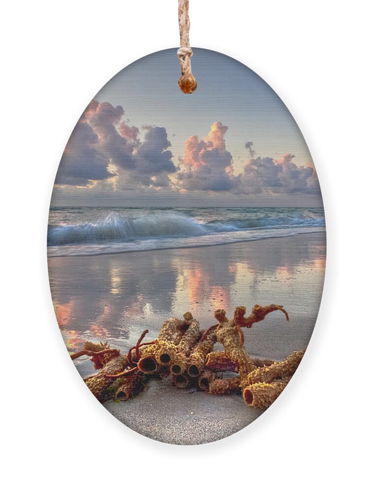 Blowing Ornament featuring the photograph Morning Surf #2 by Debra and Dave Vanderlaan
