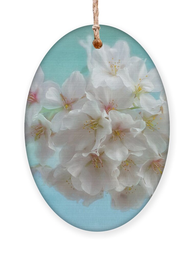 Cherry Blossom Ornament featuring the photograph Ode to Spring #2 by Kim Hojnacki