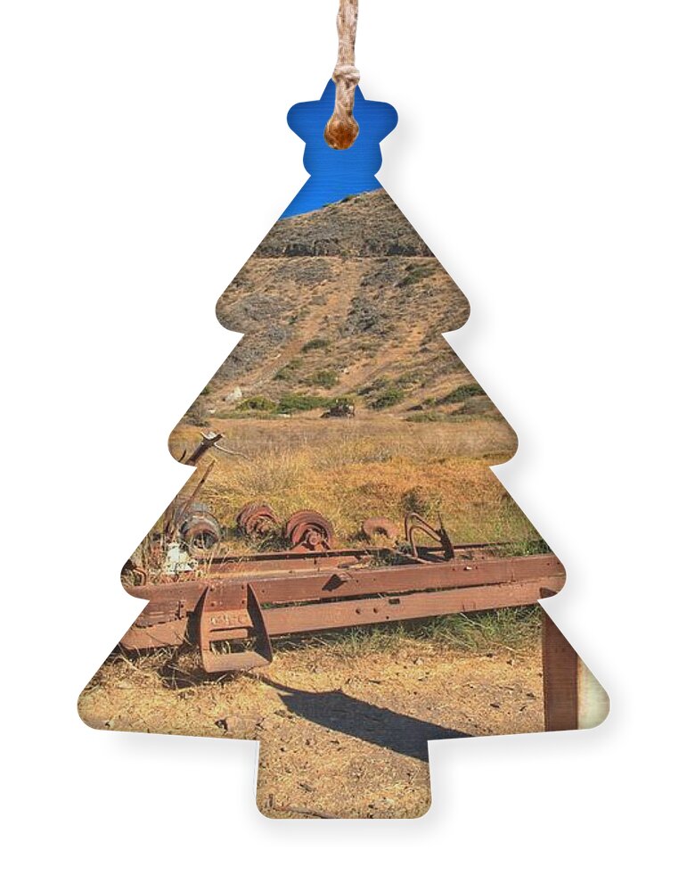 Scorpion Ranch Ornament featuring the photograph Out Of Gas #1 by Adam Jewell