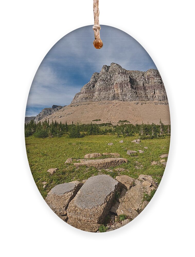 Alpine Ornament featuring the photograph Pollock Mountain from Logan Pass by Jeff Goulden