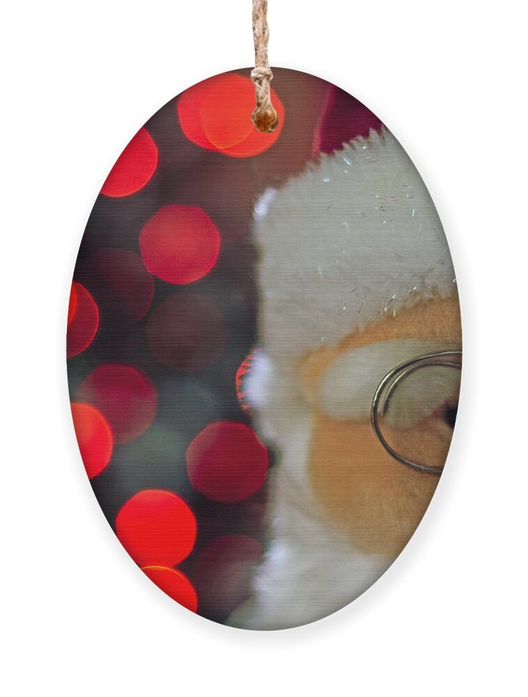 Santa Ornament featuring the photograph Santa by Spikey Mouse Photography
