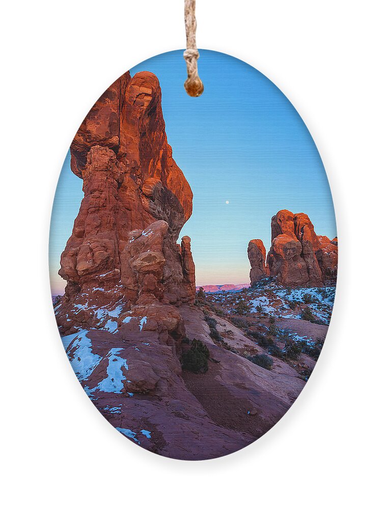 Nightfall Ornament featuring the photograph Standing Tall by Jonathan Nguyen