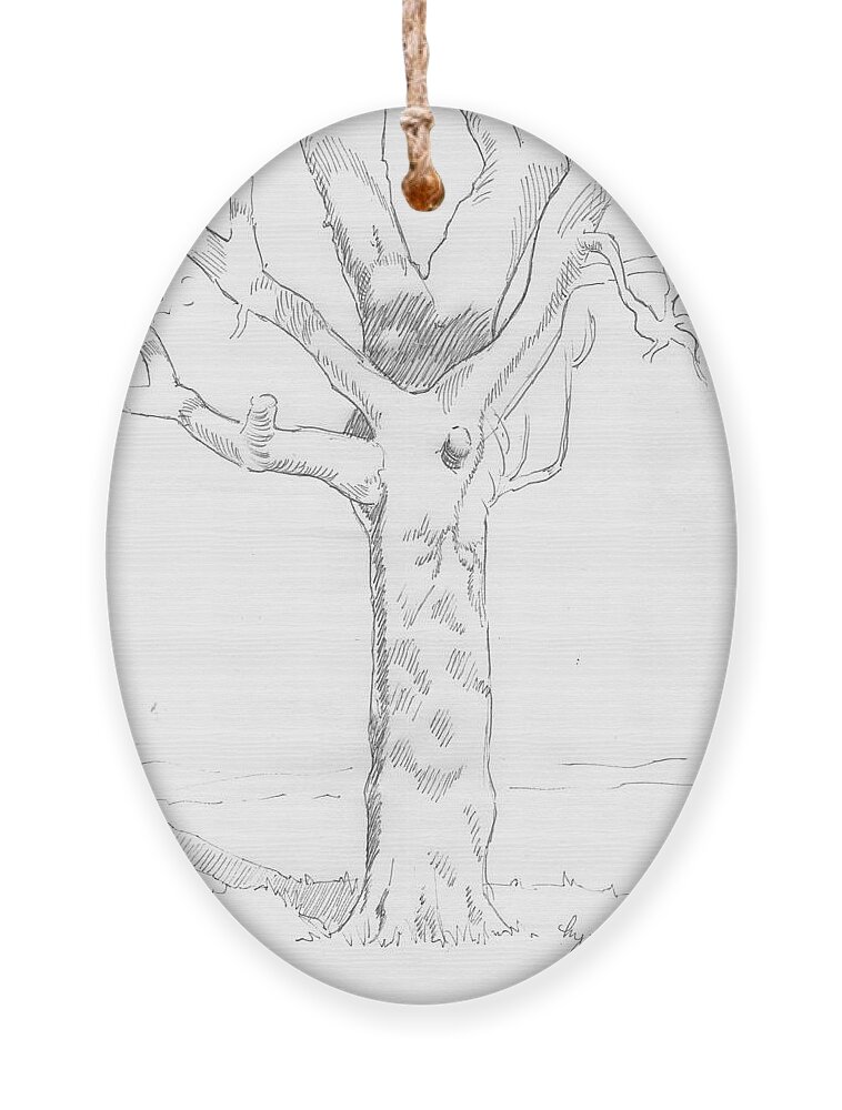 Tree Ornament featuring the drawing Tree Sketch #1 by Mike Jory
