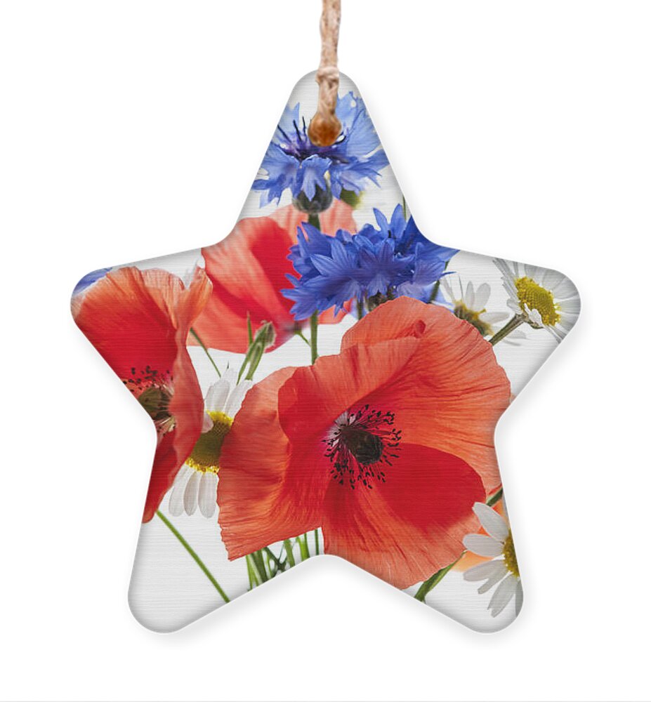 Flowers Ornament featuring the photograph Wildflower bouquet 1 by Elena Elisseeva