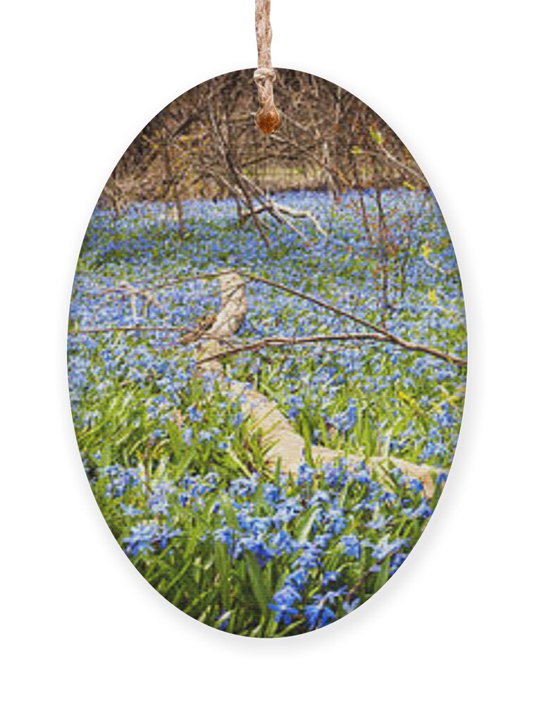 Flowers Ornament featuring the photograph Carpet of blue flowers in spring forest 1 by Elena Elisseeva