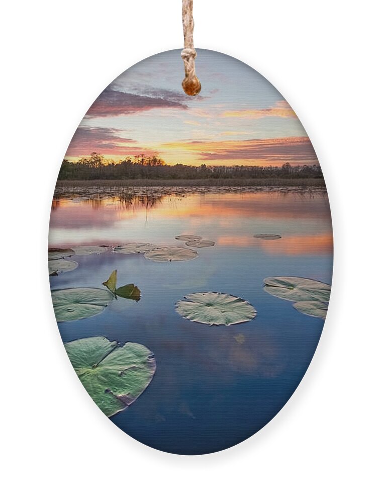 Clouds Ornament featuring the photograph Everglades at Sunset by Debra and Dave Vanderlaan