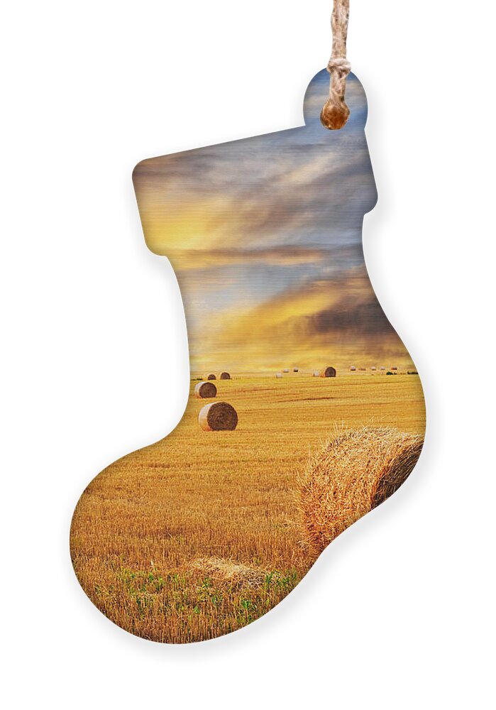 Farm Ornament featuring the photograph Golden sunset over farm field with hay bales by Elena Elisseeva