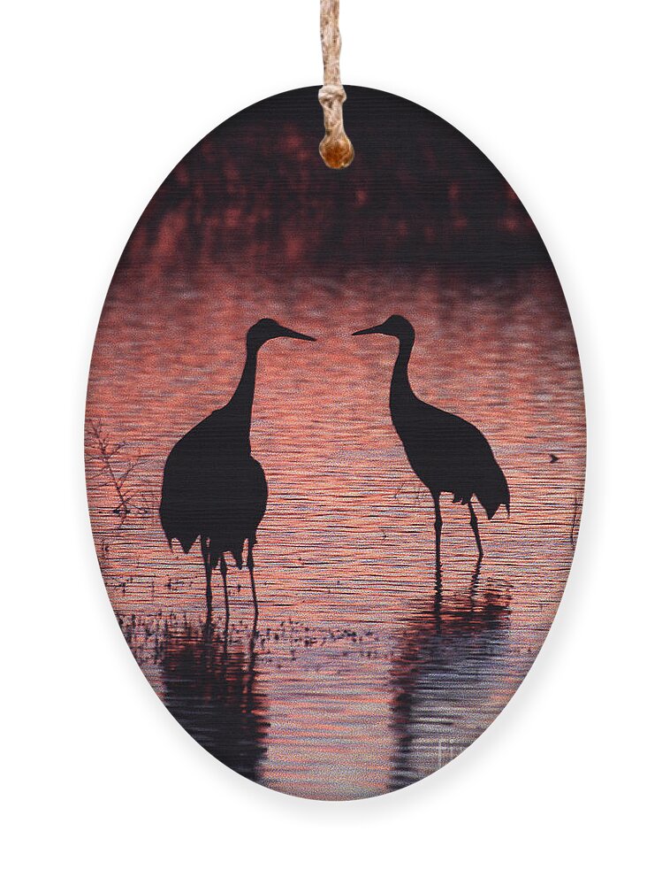 Birds Ornament featuring the photograph Sandhill cranes by Steven Ralser