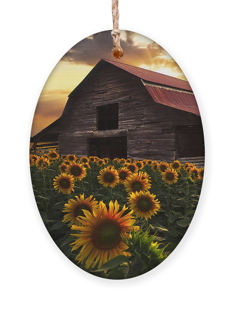 Sunflowers Ornament featuring the photograph Sunflower Farm by Debra and Dave Vanderlaan