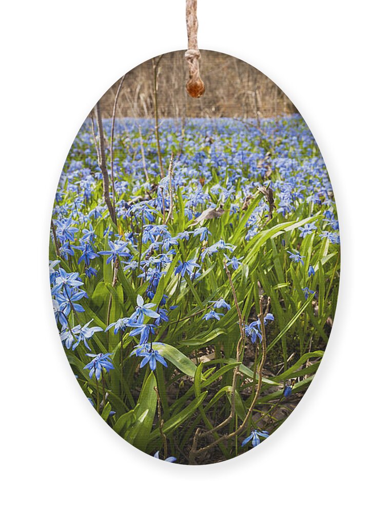 Flowers Ornament featuring the photograph Spring blue flowers 3 by Elena Elisseeva
