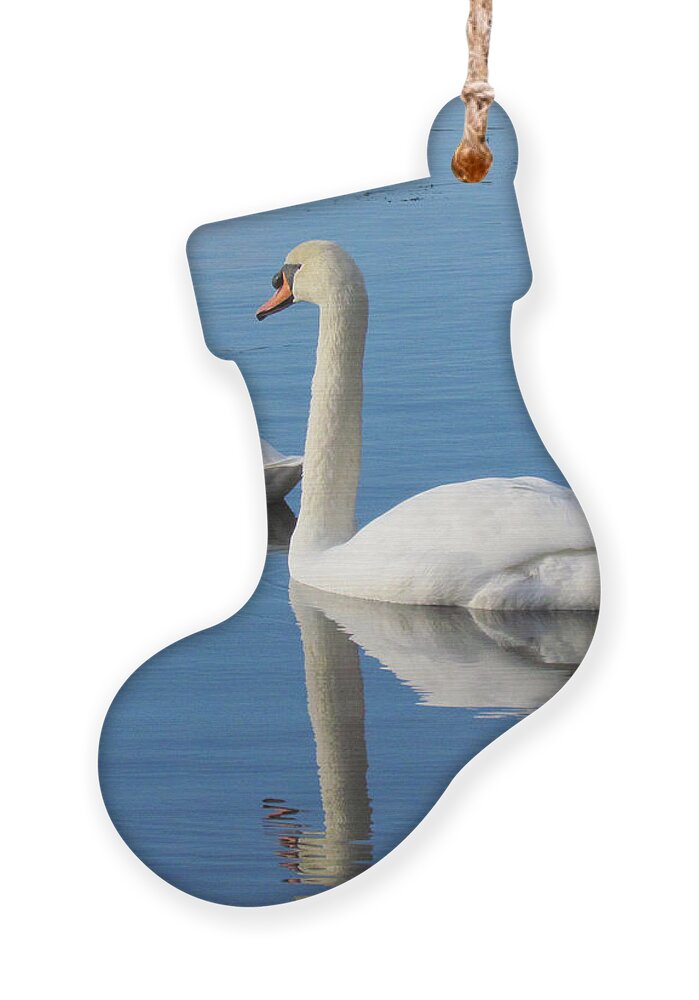 Swans Ornament featuring the photograph 3 Swans A-Swimming by Lori Lafargue