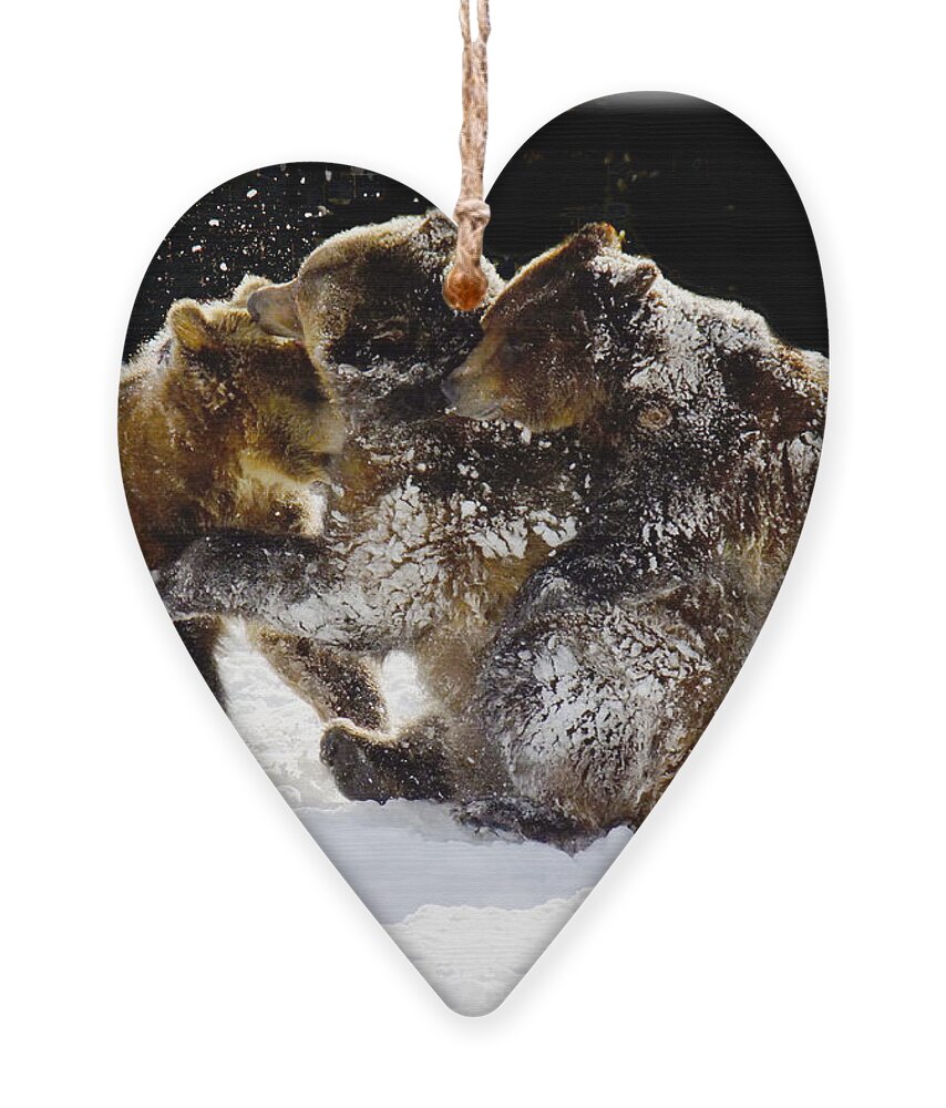 Grizzlies Ornament featuring the photograph 300 Pound Playmates by Kae Cheatham