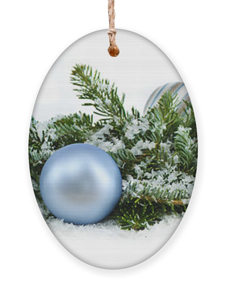 Christmas Ornament featuring the photograph Christmas ornaments 1 by Elena Elisseeva