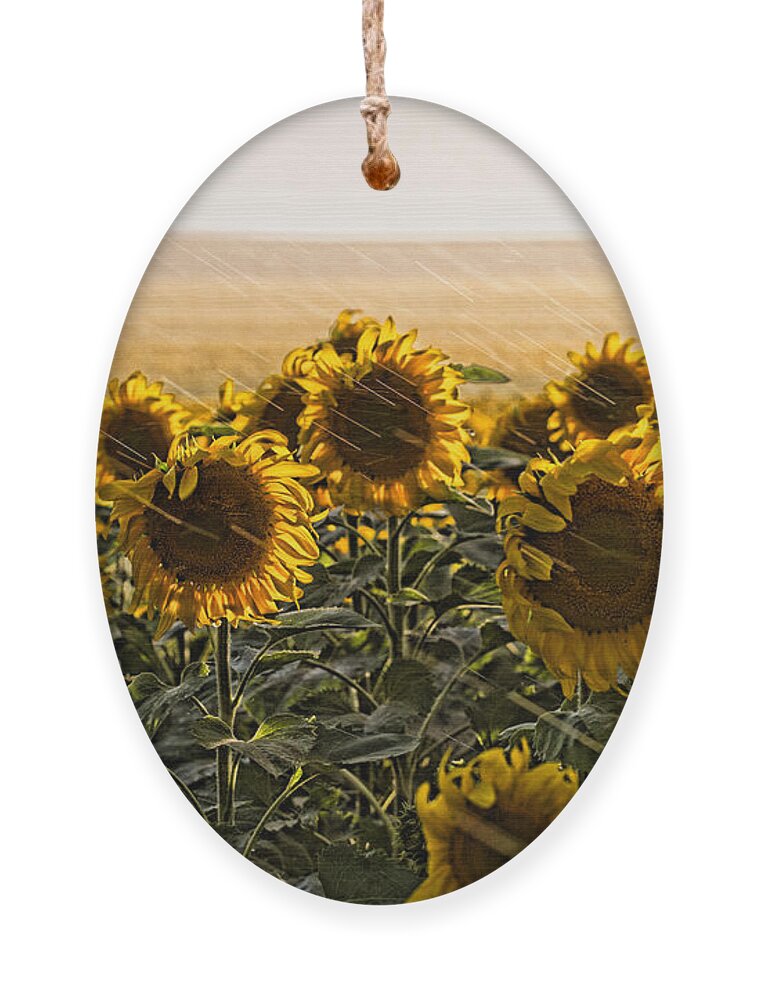 Flowers Ornament featuring the photograph A Chance of Showers by Jim Garrison